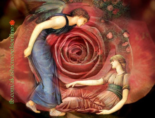 1075760_398487093590184_154841163_n