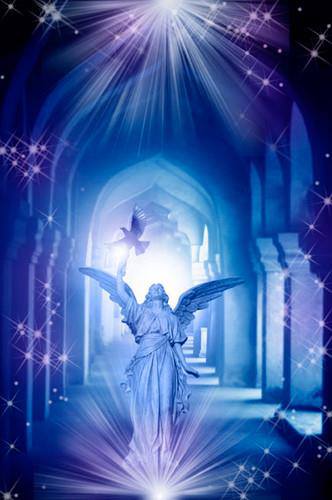 1150243_564090603651409_2052128893_n