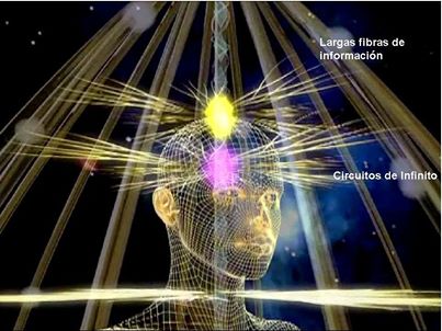 1174979_10151795309948058_766584817_n