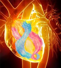 1234714_438382149614952_824968470_n