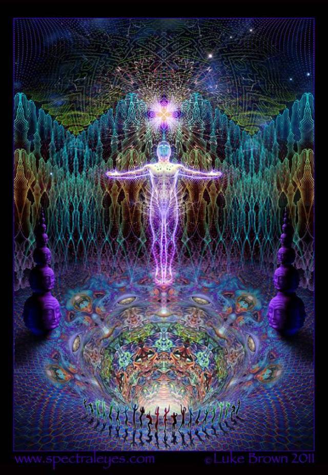 1236569_426188070835892_1965044726_n