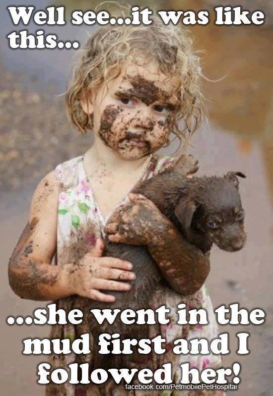 1383218_438682962907148_1028396481_n