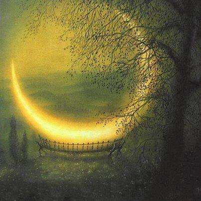 1385909_457027884408447_1507809084_n