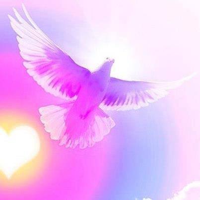 1395172_1413378385564293_1315339877_n