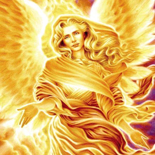 1395241_1424739371076216_1377203075_n