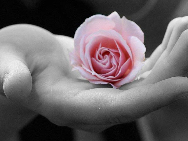 1395295_708060329222653_1474179889_n