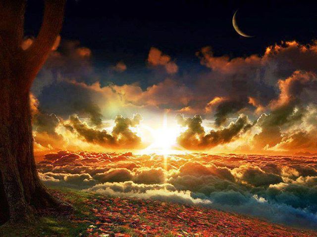 1396648_571272279588559_1154670432_n