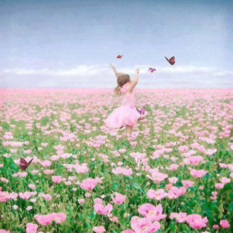 1420006_570792946303159_1321365551_n