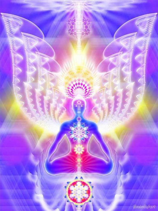 1420552_324204527720135_85335404_n