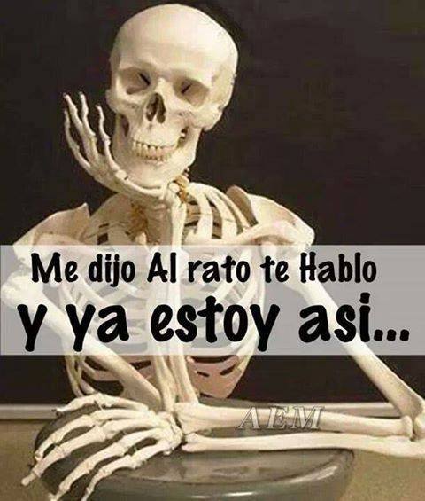 1451505_236055433237514_1885227299_n