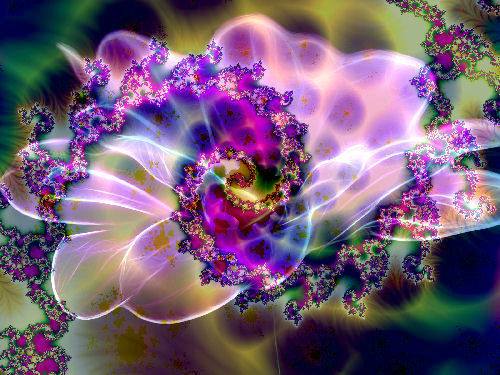 1452028_654975197867782_843063541_n