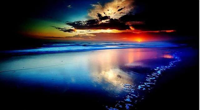 1454844_621933941185985_1970724916_n