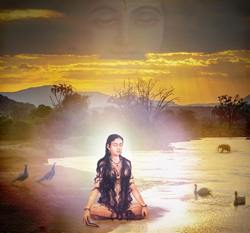 1456674_10151850636528731_772522894_n