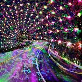 1457687_1429205270629626_1275164962_n