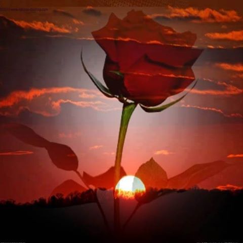 1460280_437580083030711_91968048_n