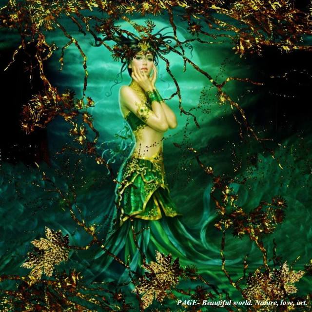 1465308_240886879408463_1716570750_n