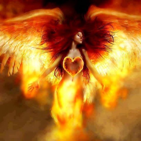 1471809_963250207146800_297133651_n