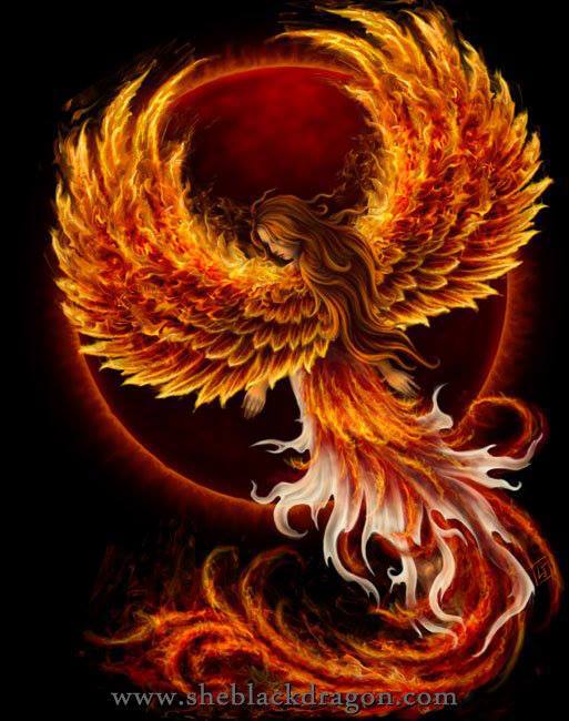 197717_10200303609583739_1917899497_n