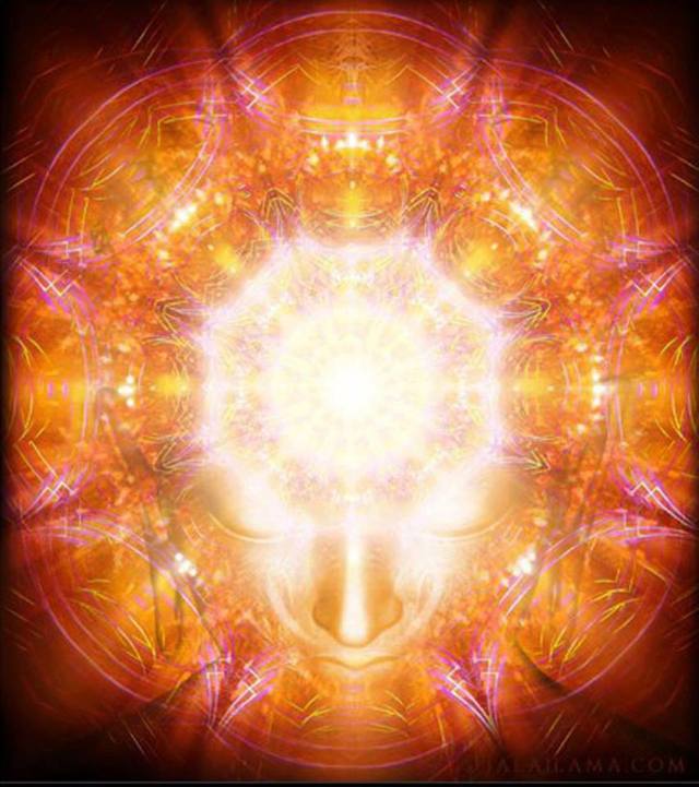 206241_427055507408842_151291501_n