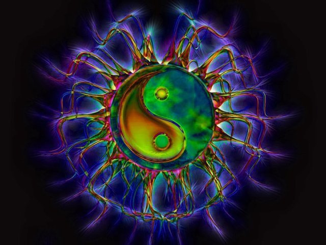 302550_10150933271860523_188904156_n