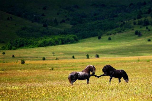 319813_252050861557337_1610943468_n