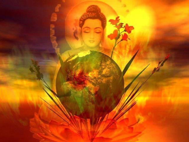 481072_462762890499495_1068320046_n