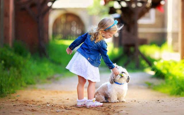 539164_433280466780731_1492594669_n