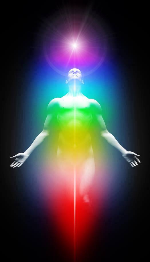 557246_739823139377472_1838182122_n (1)