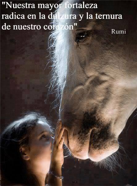 580835_10201783618665056_212465955_n