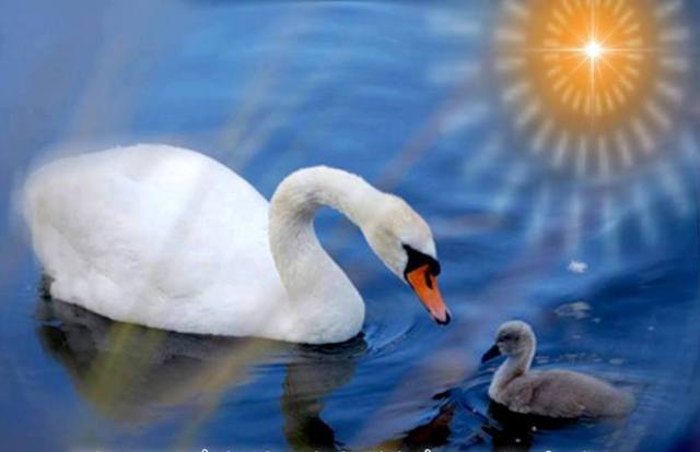 603172_1399875453562608_323912845_n