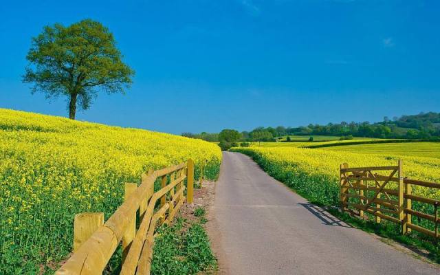 8902_613907235288795_221787856_n