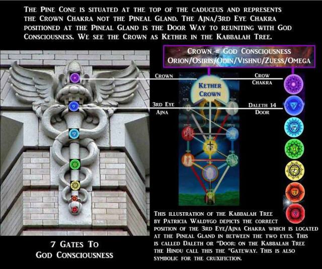 944423_574368252605698_1530279546_n (1)