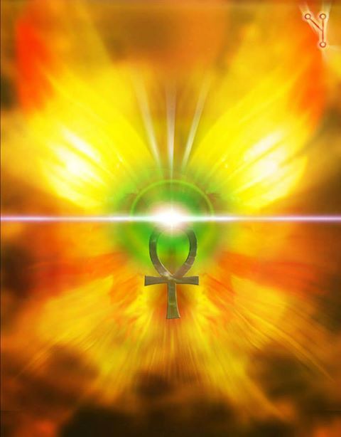 969578_258109500997361_309990510_n