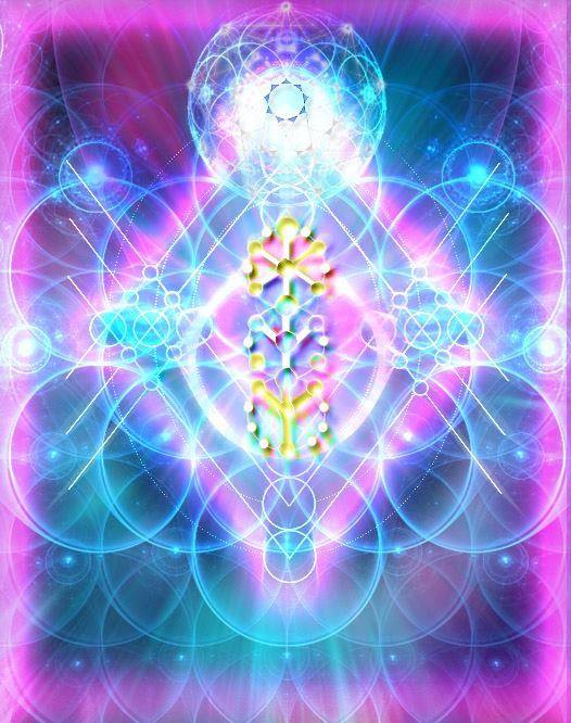 970552_566709056705501_266409780_n