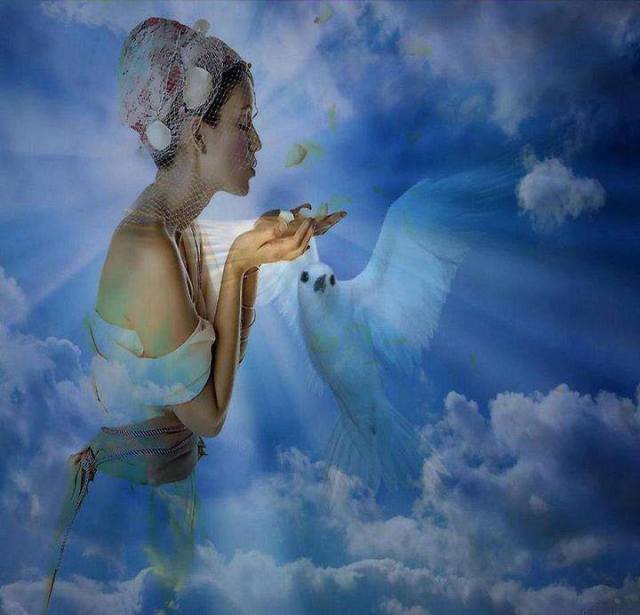 970981_4954021335469_1495966738_n