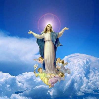 9713_314622811984619_1954052171_n