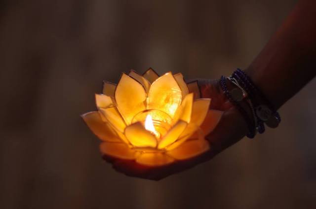 988337_171991449670336_713629607_n