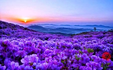 996042_480619218720460_1587811877_n