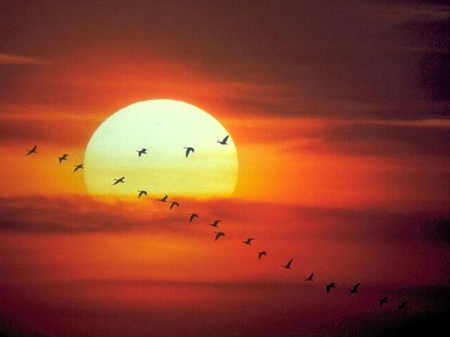 ventajas-y-desventajas-de-la-energia-solar