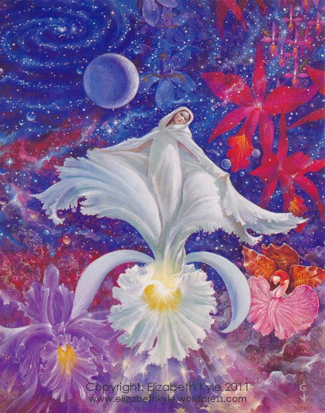 1001759_10151571345453303_176185052_n