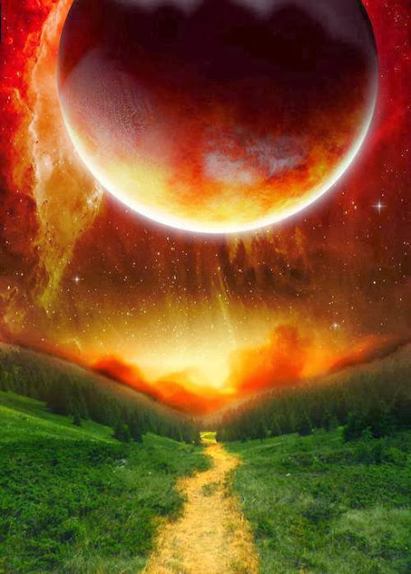 1004799_694280317255863_1164551326_n