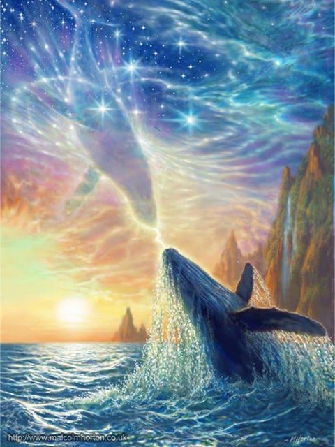 1006277_10152046702093098_421020617_n