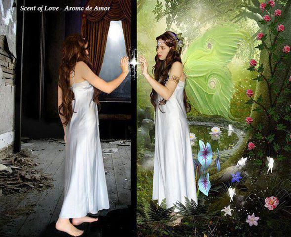 1017372_579935152058608_1240405473_n