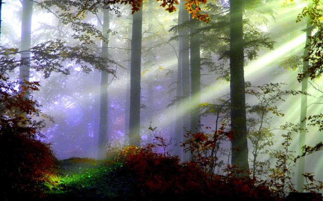 1097711_512151092197561_2043166245_o