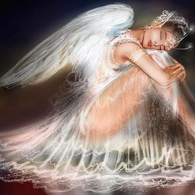 1374149_10202092669229339_96131513_n (1)