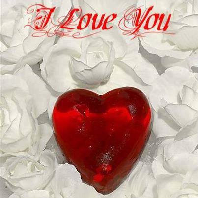 1452124_240485849450522_684721967_n