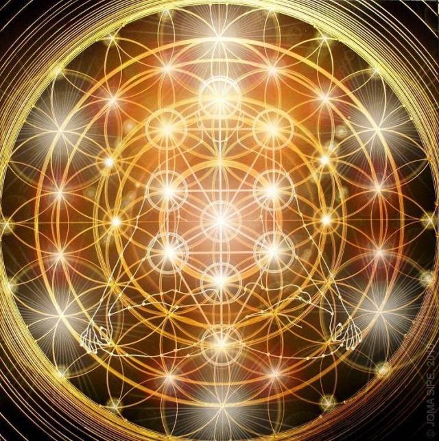 1453545_592143644155914_554239638_n