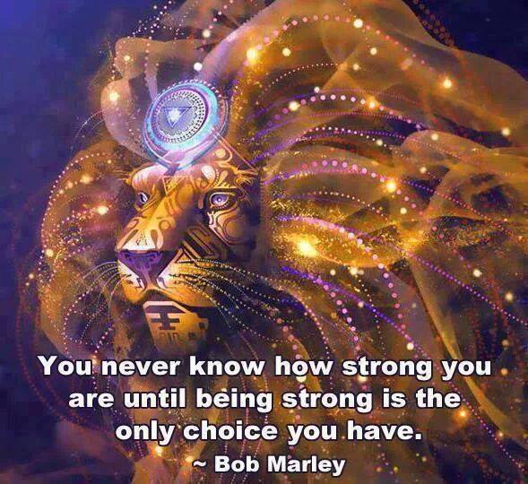 1456769_615852931820196_1346568192_n