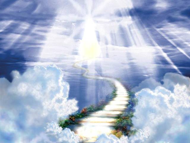 1457711_383671405097983_1823523257_n