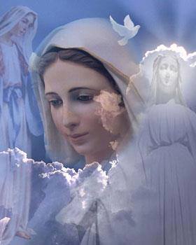 1463506_776779572348172_1297190039_n